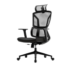 Lumbar-One Ergonomic Office Chair