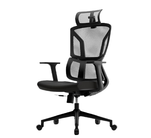 Lumbar-One Ergonomic Office Chair