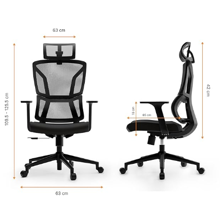 Lumbar-One Ergonomic Office Chair