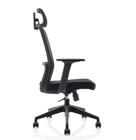 Aligno Ergonomic Office Chair
