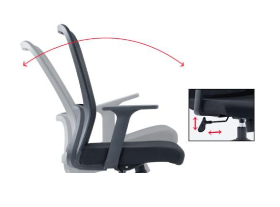 Aligno Ergonomic Office Chair