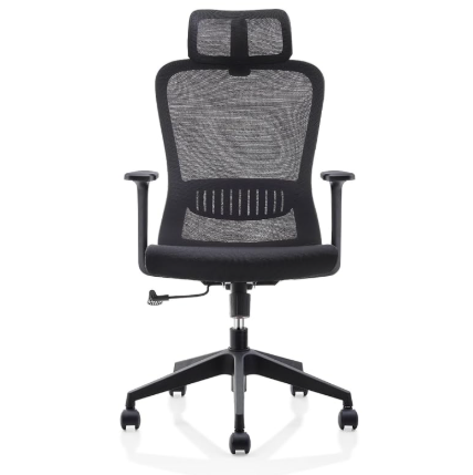 Aligno Ergonomic Office Chair