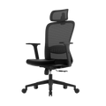 Aligno Ergonomic Office Chair