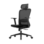 Aligno Ergonomic Office Chair