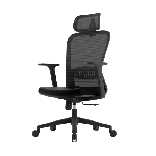 Aligno Ergonomic Office Chair